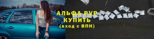 трава Арсеньев