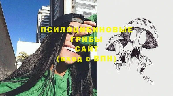 прущий лед Армянск