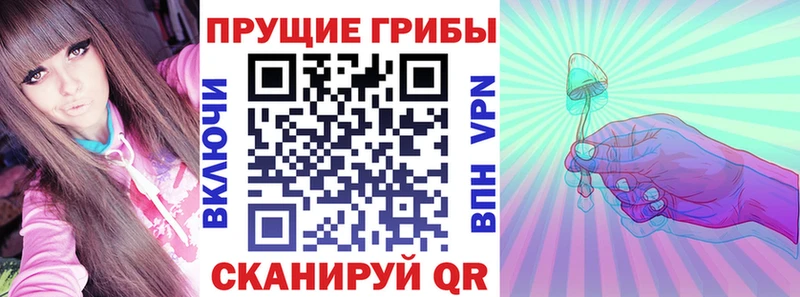 Псилоцибиновые грибы Magic Shrooms  Купить где  Краснозаводск 